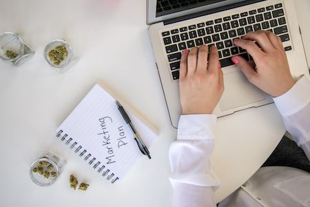 Run Your Cannabis Business Like a Business, Not a Hobby