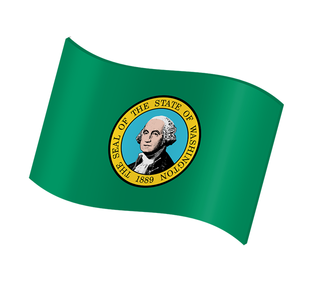 Washington state flag